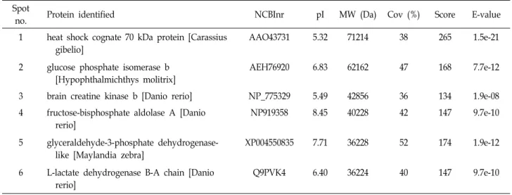 Table  1.  Up-regulated  (spot  1,  2,  5)  and  down-regulated  (spot  3,  4,  6)  protein  list  identified  by  the  reference  map Spot 
