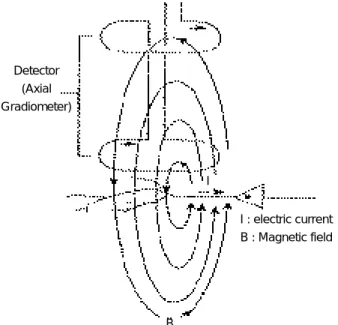 Figure 2. Cells oriented perpendicular to the skull (A) fail to gen - erate an extracranial magnetic field