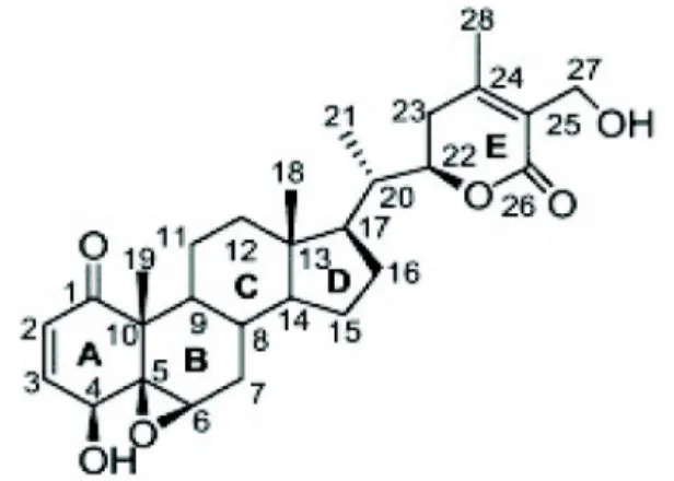 Fig. 1. Structure of withaferin A. Withaferin A (5,6-epoxy- (5,6-epoxy-4,27-dihydroxy-1-oxowitha-2,24-dienolide), Molecular formula: C 28 H 38 O 6 ), Molecular weight: 470.61.