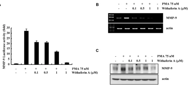 Fig. 1. Effect of withaferin A on PMA-induced MMP-9 activity.