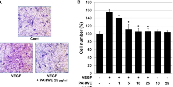 Fig.  2.  Effect  of  PAHWE  on  VEGF-induced  migration  of  endothelial  cells.  HUVEC  migration  as  determined  by  using  the  Transwell  culture  plate