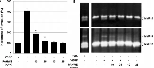 Fig.  3.  Effect  of  PAHWE  on  VEGF-induced  invasion  of  endothelial  cells  and  activity  of  MMP