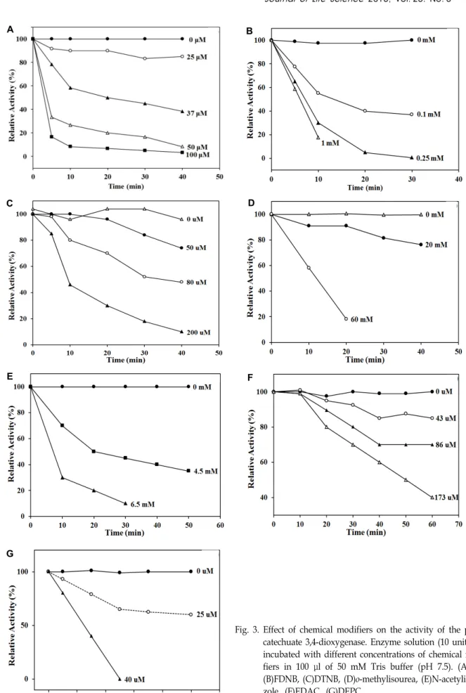 Fig.  3.  Effect  of  chemical  modifiers  on  the  activity  of  the  proto- proto-catechuate  3,4-dioxygenase
