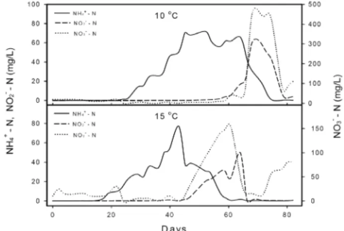 Fig.  1.  Changes  in  concentration  of  NH 4 +