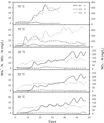 Fig.  5.  Changes  in  concentration  of  NH 4 +