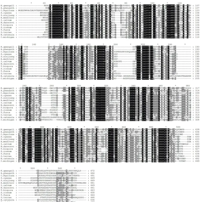 Fig.  2.  Multiple  alignment  of  deduced  amino  acid  sequences  of  XK and  other  bacteria