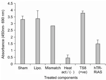Fig.  3.  Specific  reduction  of  hTR  RNA  by  hTR-RiAS  in  various  cancer  cell  lines