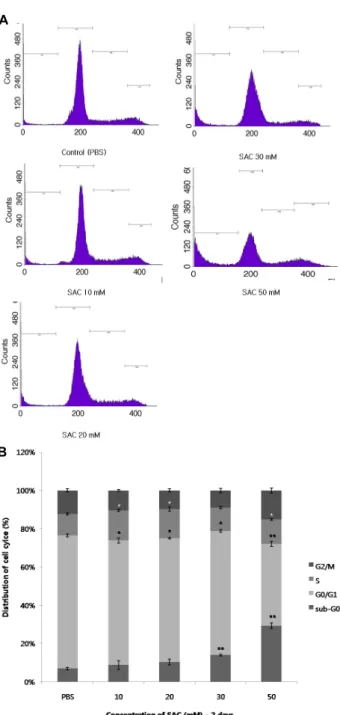 Fig.  5.  Effects  of  SAC  on  cell  cycle  arrest  of  HeLa  as  determined  by  flow  cytometry