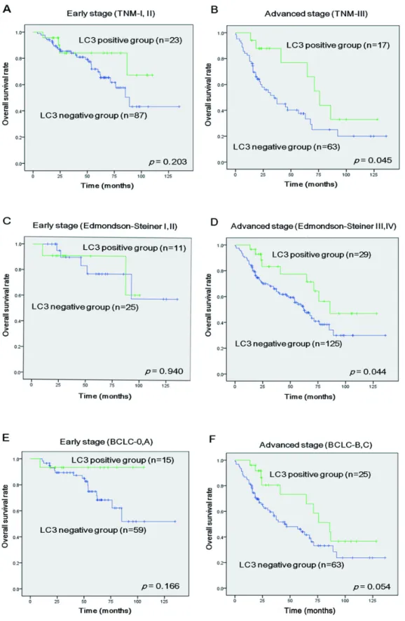 Figure  2.    Kaplan–Meier  survival  analysis  of  LC3  expression  in  hepatocellular  carcinoma  (HCC)  patients  according  to stage