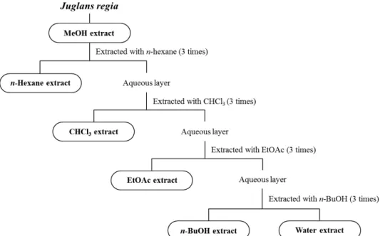 Fig.  1.  Sequential  steps  of  preparing  the  several  solvent  and  aqueous  extracts  from  Juglans  regia  L.