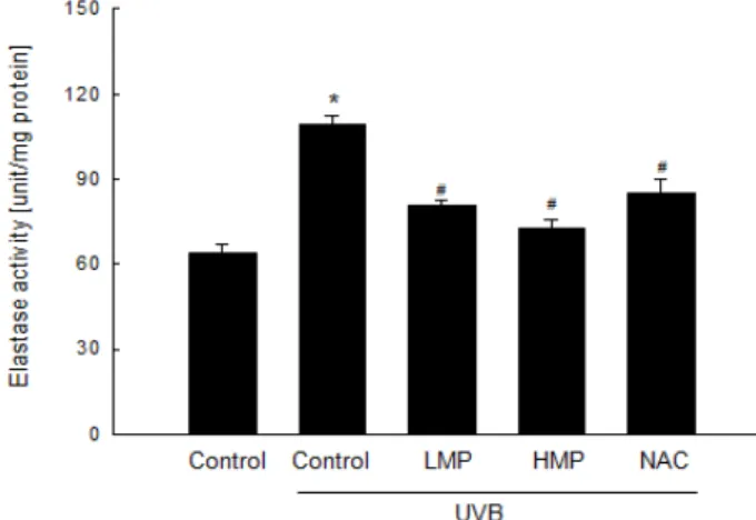 Fig.  4.  Inhibitory  effects  of  LMP  and  HMP  on  elastase  activity. 