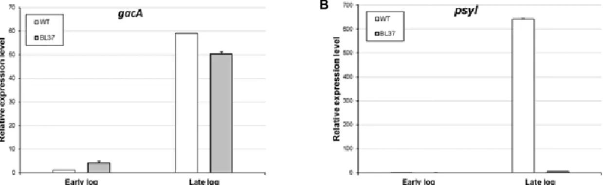 Fig.  3.  The  relative  mRNA  expression  levels  of  gacA  and  psyI  in  wild-type  (WT)  and  the  Δ psyR  mutant  Pseudomonas  syringae  pv