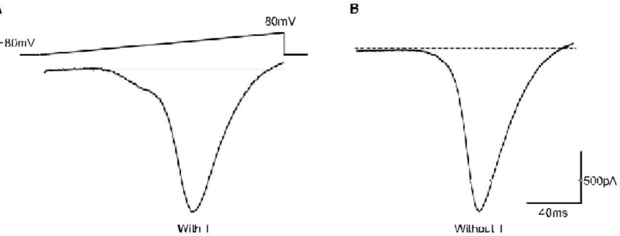 Fig.  2.  Inhibition  of  the  high-threshold  voltage  activated (HVA)  Ca 2+   current  by  fluoxetine