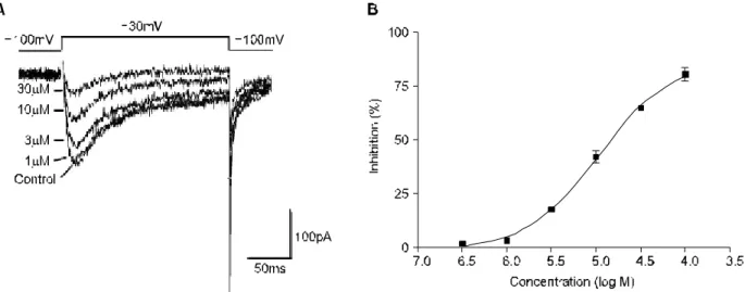 Fig.  4.  Inhibition  of  voltage-dependent  outward  K +   currents  by  fluoxetine.  The  whole-cell  K +   currents  are  elicited  by  200ms  voltage  steps  to  +10μV  from  a  holding  potential  of  -80mV  at  10s  intervals