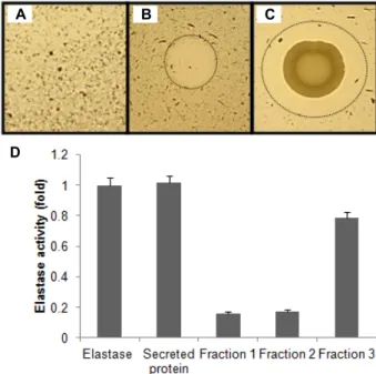 Fig.  6.  Effect  of  metal  ions  on  the  caseionolytic  activity.  Fraction  3  of  ECPs  treated  metallic  ions  were  injected  in  2%  skim  milk  agar  plates
