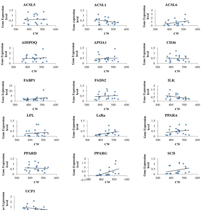 Fig.  1.  The  regression  plot  between  gene  expression  and  carcass  weight.  The  x-axis  and  y-axis  represent  the  carcass  weight  and  the  normalized  gene  expression  value,  respectively.