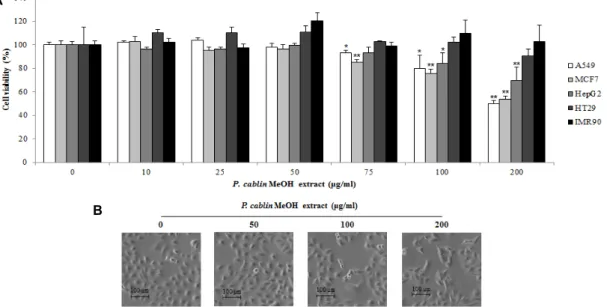 Fig.  1.  Cytotoxic  effect  of  methanol  extract  of  P.  cablin  on  A549  cells.  (A)  Various  cancer  cells  were  treated  with  P