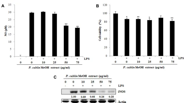 Fig.  4.  Effects  of  P.  cablin  methanol  extract  on  LPS-induced  NO  production  and  LPS-induced  iNOS  expression  in  RAW  264.7  murine  macrophages