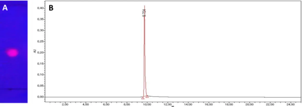Fig.  2.  TLC  developing  pattern  and  HPLC  analysis  chromatogram  of  purified  photosensitizer  PL9443