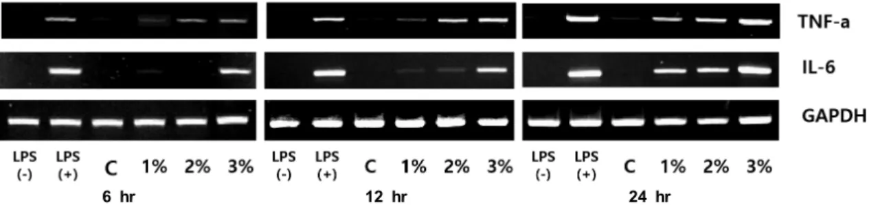 Fig.  6.  The  PCR  analysis  of  TNF-α  and  IL-6  in  RAW  264.7.  Supernatants  of  fermented  milk  with  turmeric  powder  by  different  concentrations  during  24  hr  were  treated  to  RAW  264.7