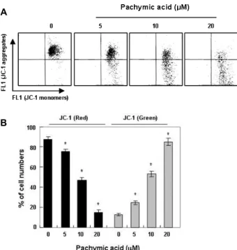 Fig.  4.  Effects  of  pachymic  acid  on  the  MMP  values  in  T24  hu- hu-man  bladder  cancer  cells