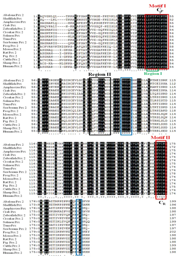 Fig.  2.  Multiple  alignment  of  the  amino  acid  sequences  of  abalone  Prx  2  with  those  of  other  species  using  ClustalW