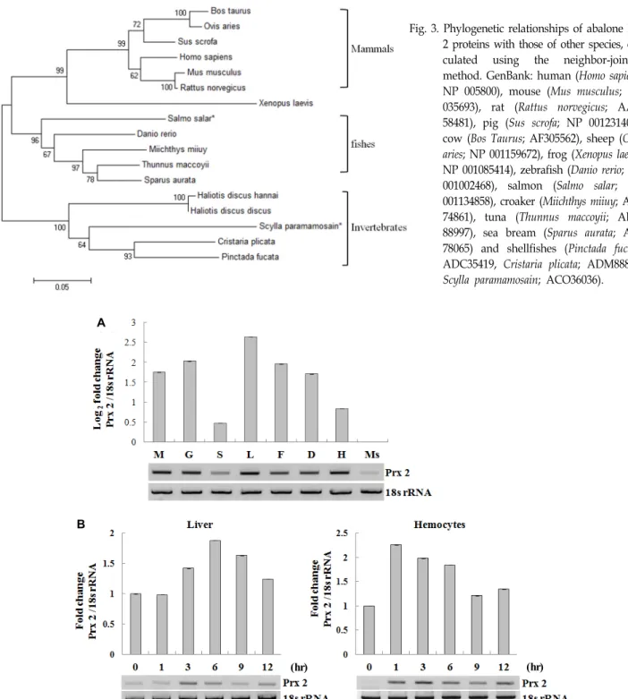 Fig.  3.  Phylogenetic  relationships  of  abalone  Prx  2  proteins  with  those  of  other  species,   cal-culated  using  the  neighbor-joining  method