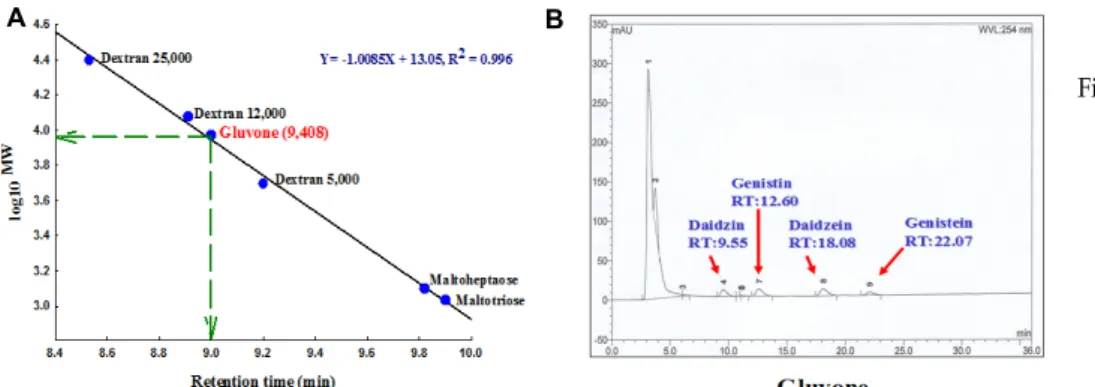 Fig.  6.  Determination  of  molec- molec-ular  weight  (A  panel)  and  analysis  of   isoflav-ones  of  Gluvone  by  HPLC  (B  panel)