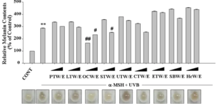 Fig.  2    Inhibitory  effects  of  water  extracts  from  marine  natural  resources  on  α-MSH  and  UVB-induced  melanin  formation  in  B16  melanocytes    B16  melanoma  cells  were  treated  with  0.3  mg/ml  or  1  mg/ml  water  extracts  of  Porphy