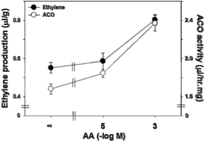 Fig.  5.  Effect  of  ascorbic  acid  on  gene  expression  levels  for  ACC  oxidase  and  ACC  synthase