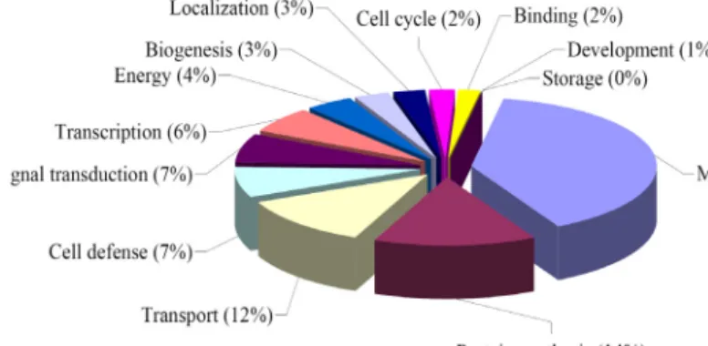 Fig.  2.  Categorization  on  the  606  unigenes  from  KS13  cDNA  library  constructed  from  peppr-P