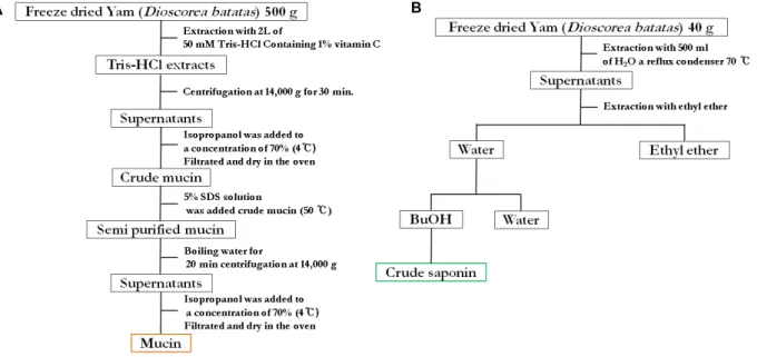 Fig.  1.  Fractionation  of  mucin  (A)  and  saponin  (B).