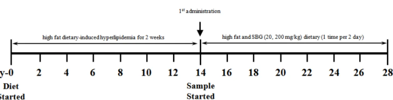 Fig.  1.  Protocols  for  high  fat  dietary-induced  hyperlipidemia  and  sulfated  β-glucan  (SBG)  administration  effect  in  Sprague-Dawley  rats