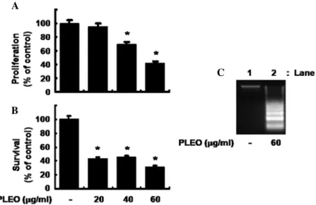 Figure 1. Effects of P. densiflora leaf essential oil (PLEO) on proliferation, survival and apoptosis in YD-8 cells