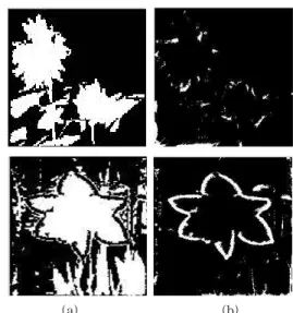 그림 5의 b에서 hole filling 결과와 앞서 추출했던 Active Contour의 이진화 결과로 얻어진 영역 분할 영 상의 차영상을 볼 때 상대적으로 복잡하고 중첩 영역 이 발생할 수 있는 영상에 대해서 각 객체의 경계가 생성 될 수 있다는 것을 확인할 수 있었다.