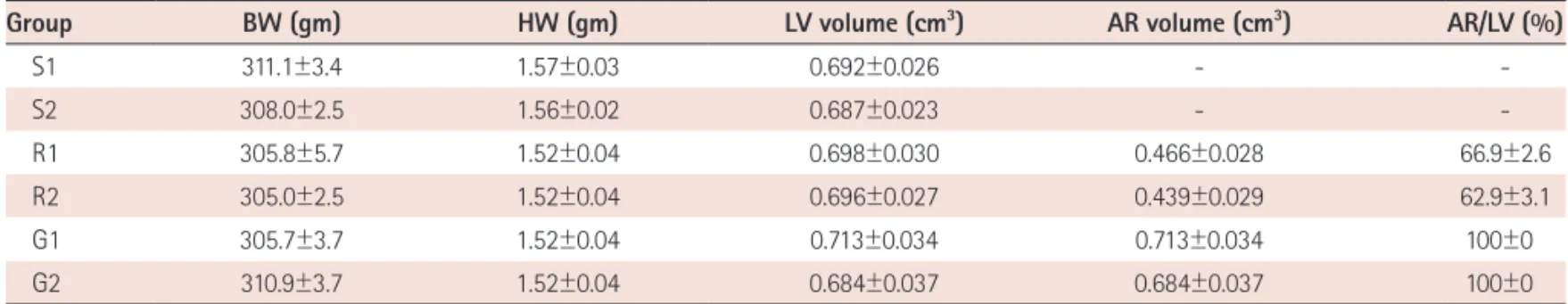 Fig. 2. Morphometric changes after myocardial ischemia and reperfusion  in isolated rat heart