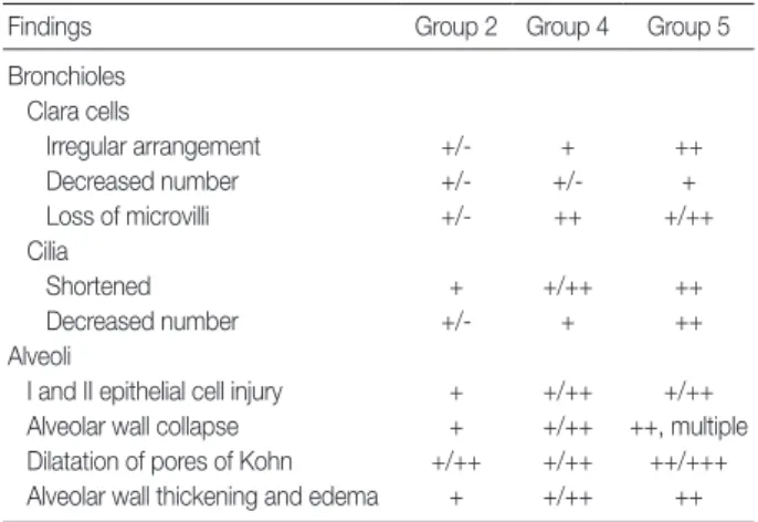 Table 2. Ultrastructural changes in bronchiolar and alveolar cells  depending on the volume of smoke exposure 