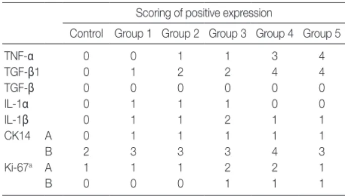 Table 4. Scoring of immunohistochemical expression of alveolar  and bronchiolar cells 