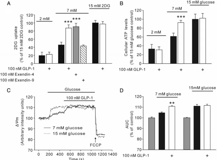 FIG. 1. Effect of GLP-1 on 2-deoxy-[ 3 H]glucose uptake, cellular ATP levels and ⌬␺m in INS-1 cells