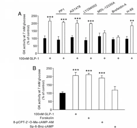 FIG. 5. Involvement of cAMP and Epac in the GLP-1 effects on GK activity in INS-1 cells