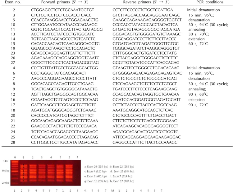 Fig. 2. Agarose gel electrophoresis of  multiplex PCR products from exon 2  to exon 28 of the SCN5A gene
