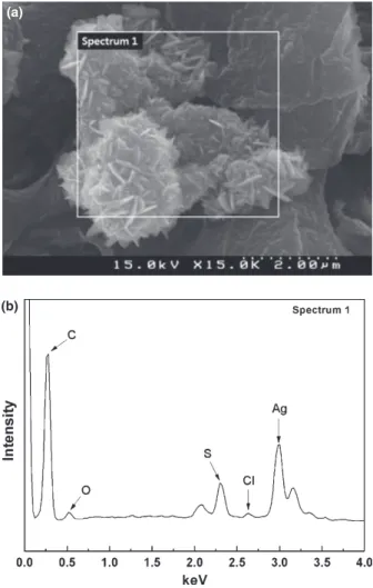 Figure 3 (a) SEM image of denture base acrylic with 20.0 wt% of silver nanoparticles (·15 000)