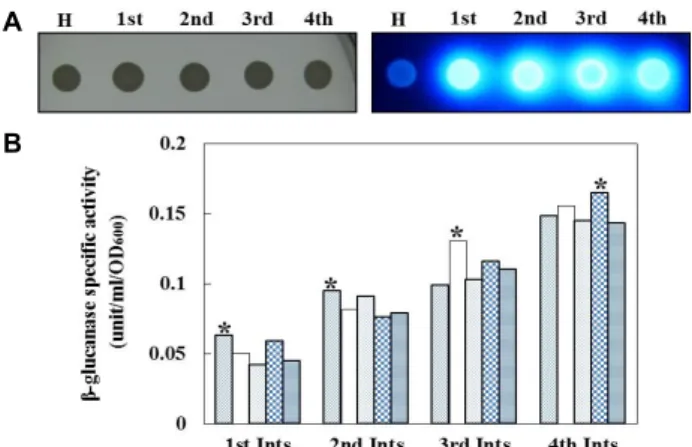 Fig.  4.  Active  staining  of  yeast  transformants  harboring  EXGA  gene.  Each  yeast  strain  was  grown  in  YPD  and  diluted  cell  suspensions  (OD 600   =1.0)  from  each  strain  were   spot-ted  onto  YPD