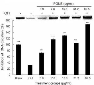 Fig.  3.  Reducing  power  of  GUEE  and  PGUE.  Vitamin  C  (Vit  C)  at  10  μg/ml  was  used  as  a  positive  control