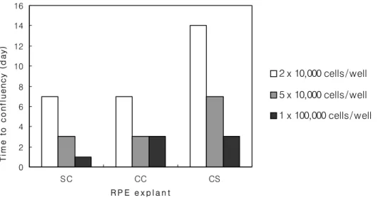 Figure 4. Time to confluency on Bruch's membrane by RPE transplants. All types of transplants were grown and proliferated  well on BM and showed shorter time to reach confluence with higher cell concentration