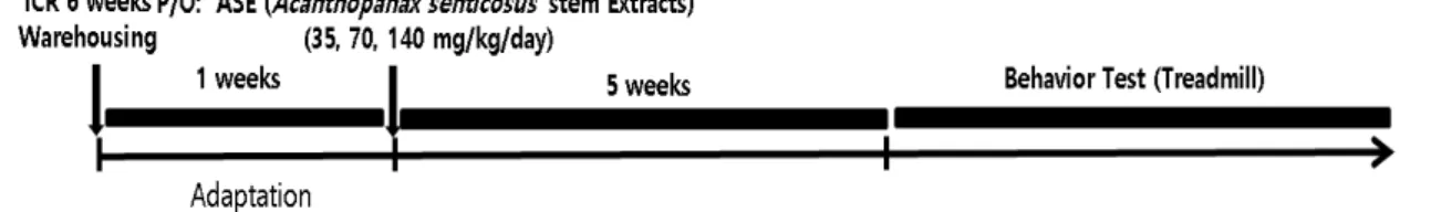 Fig. 1. Experimental timelines. Each timeline represents in vivo experimental procedures