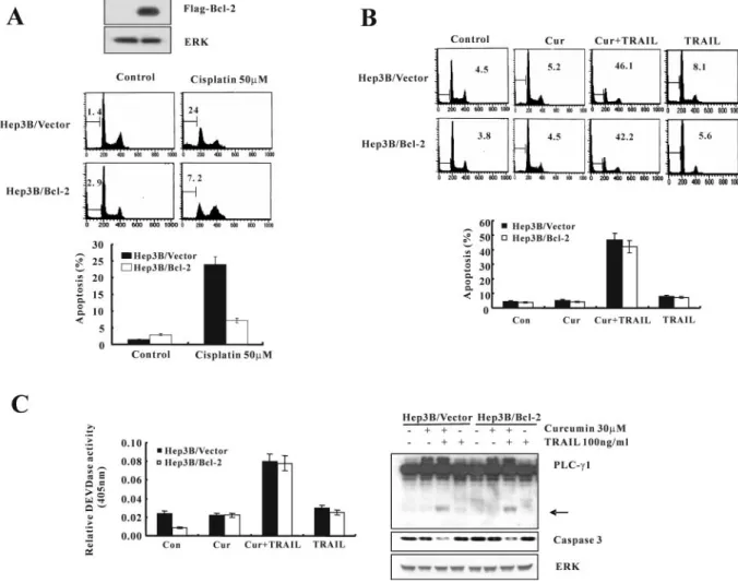 Fig. 7. Curcumin plus TRAIL induces apoptotic cell death in Bcl-2 overexpressing cells