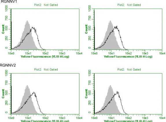 Fig. 2. Flow cytometric analysis of RGNNV CP expression on yeast. The yeast cells were cultured on galactose containing medium, and then cells were labeled with anti c-myc antibody for fluorescence-activated cell sorting analysis