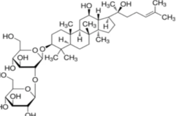 Fig. 1. Structures of ginsenosides Rg3. senoside Rg3가 악성 흑색종 세포에서 성장과 전이를 어떤 경로를 통해 억제하는지에 대한 정확한 기전과 B16F10 흑색종 세포의 세포사멸에 관련되는 단백질에 대한 연구는 미흡한 실정이다 