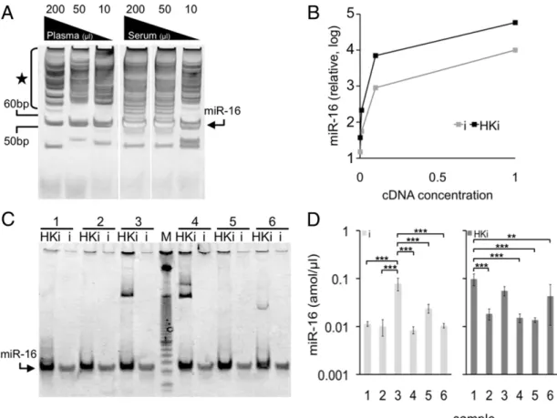 Figure 5. Mutant TaqDNA polymerase, Hemo KlenTaq improves the sensitivity of miRNA detection